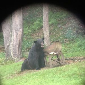 Meet your Posher, William